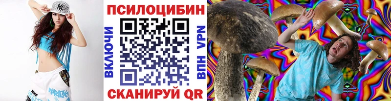 Псилоцибиновые грибы Cubensis  как найти   Абакан 